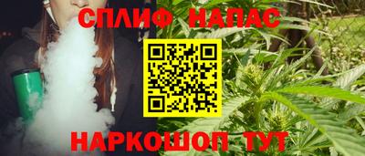 дмт Гай