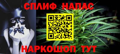 дмт Гатчина