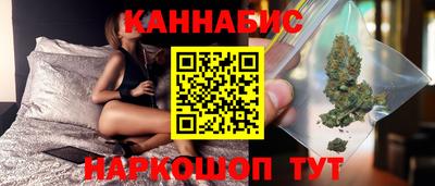 дмт Гай