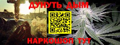 дмт Гатчина